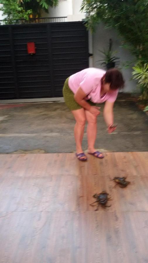 Vero Homestay Galle- Your Home Away From Home! 外观 照片